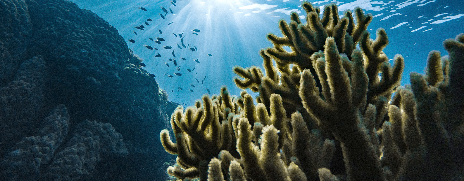 3868la银河总站中水回用、陶瓷膜、石墨烯膜、黑金膜公众号，接待您扫码关注！！