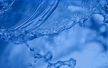 公司董事长蓝伟光博士做客厦门大学校友论坛